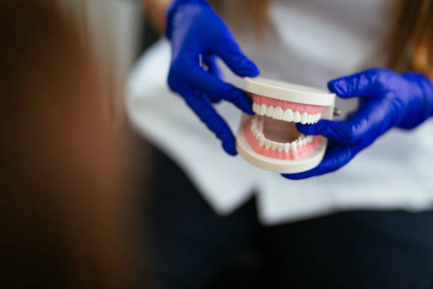 Trusted Intercourse, PA Holistic Dental Care Services Experts